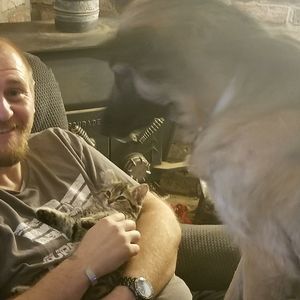 Meet your Posher, Jake